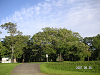 s_PICT0107_thumb.png